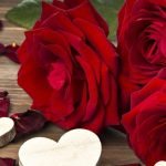 أجمل ما قيل عن الوردة والورود