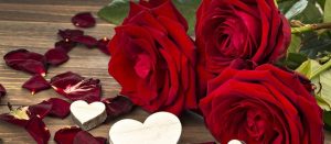 أجمل ما قيل عن الوردة والورود