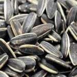 هل تحب أكله؟ تعرف على أهم 7 من فوائد وأضرار اللب السوري