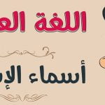 ما هو عدد أسماء الإشارة في اللغة العربية.. 3 جوانب وأمثلة على هذه الأسماء