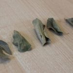 4 من فوائد ورق السدر للصحة .. تعرف على أهم الدراسات الحديثة حول هذه الفوائد