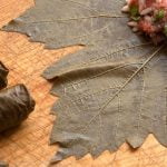 كيفية تخزين ورق العنب عبر 4 طرق منزلية سهلة