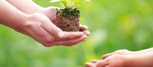 كلمات عن حسن الخلق .. 37 عبارة عن أجمل الأخلاق الإنسانية