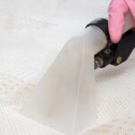 تعرف على 10 طرق للقضاء على البراغيث بالمنزل