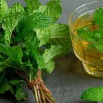 أسرار في عشبة مليسا اكتشفها بنفسك