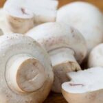 فطر عرف الأسد فوائده وأضراره ومدى فعاليته