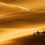 الصحراء طبيعتها ونباتها ومناخها واكبرها مساحة