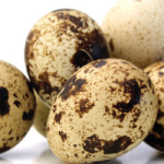 بيض السمان فوائده والعناصر الغنية فيه