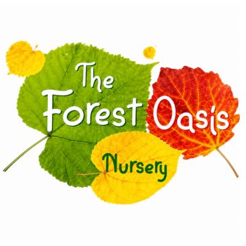 Into the Rainforest - Summer Camp - Children’s Oasis Nursery
