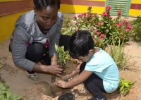 Noah's Ark Nurseries