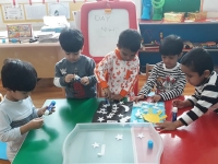 Noah's Ark Nurseries