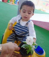 Noah's Ark Nurseries