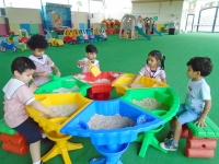 Noah's Ark Nurseries