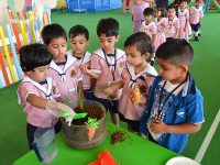 Noah's Ark Nurseries