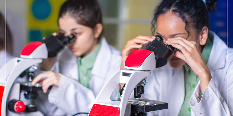 Beaconhouse Al Khaleej International School