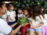 Odyssey Nursery, Dubai