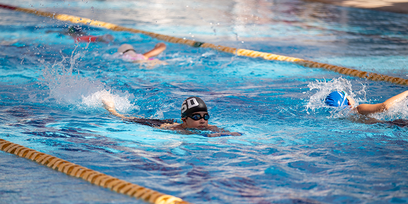 American School of Doha