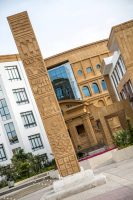 Future University in Egypt