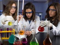 Future University in Egypt