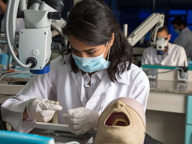 Future University in Egypt