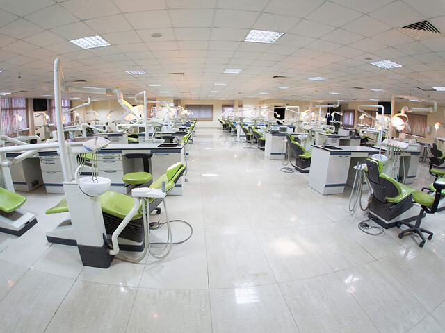 Future University in Egypt