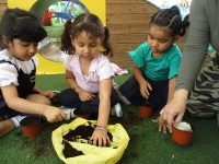 Bumble Bee Nursery
