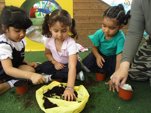 Bumble Bee Nursery