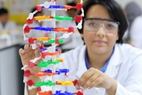 Horizon Private School - Branch, Khalifa City