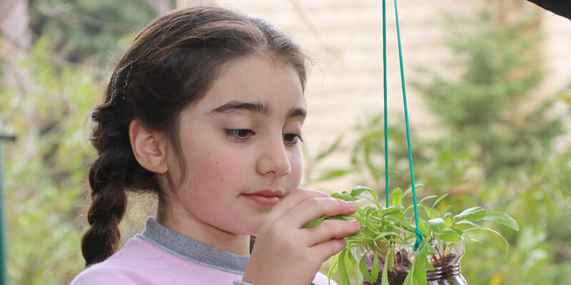 Brummana High School