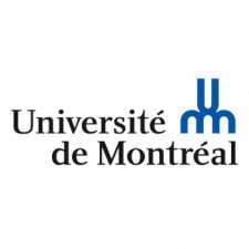 Globalink Research Award