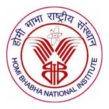 Homi Bhabha National Institute