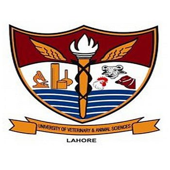 University of Veterinary and Animal Sciences