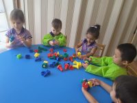 Rainbow Valley Nursery, JLT