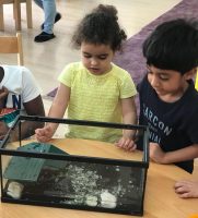 Odyssey Nursery, Abu Dhabi