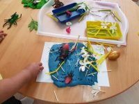 Odyssey Nursery, Abu Dhabi