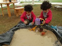 Odyssey Nursery, Abu Dhabi