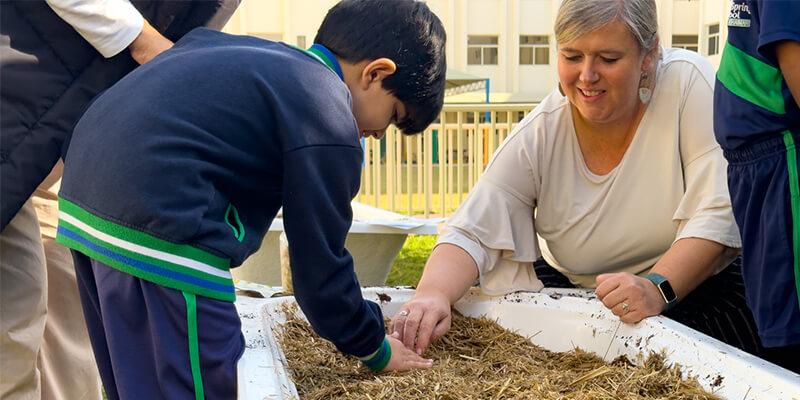 The WellSpring Private School