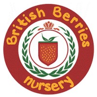 British Berries Nursery Dubai
