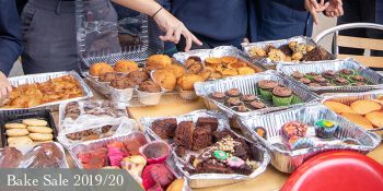 Malvern College Egypt