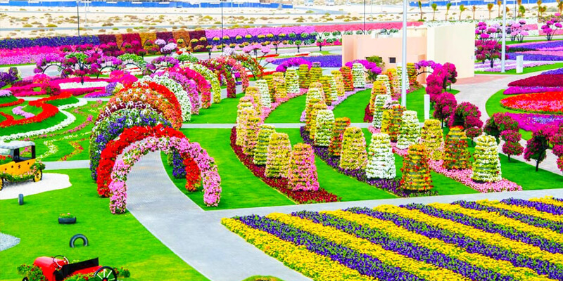 Dubai Miracle Garden