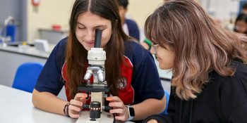 Emirates International School, Meadows