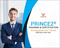 Vinsys Dubai