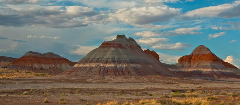 Petrified Forest