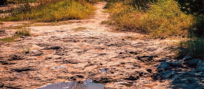 Dinosaur Valley State Park