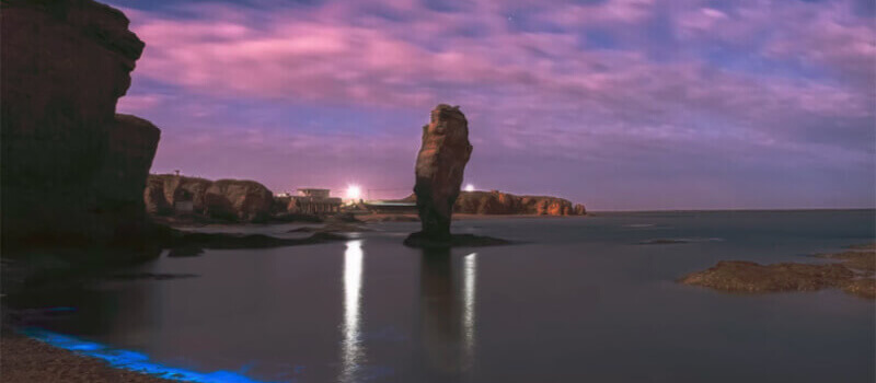 Bioluminescent Bay