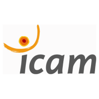 Icam, School of Engineering