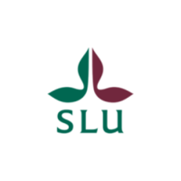 Senior lecturer in technology