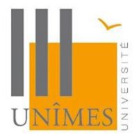 University of Nimes
