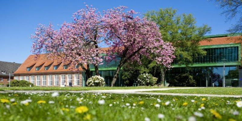 Constructor University