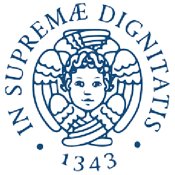 University of Pisa